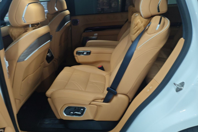 极氪 极氪9X 2025 汽车图片 #17