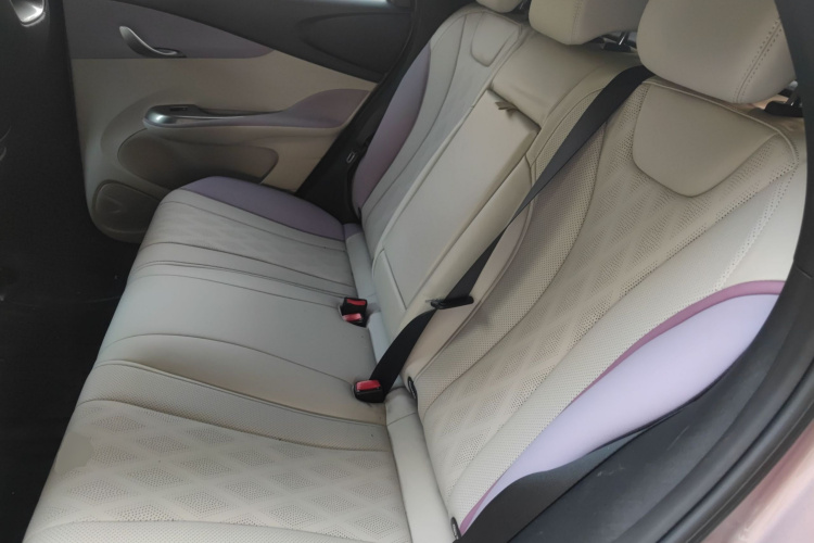 BYD Dolphin 2023 car image #17
