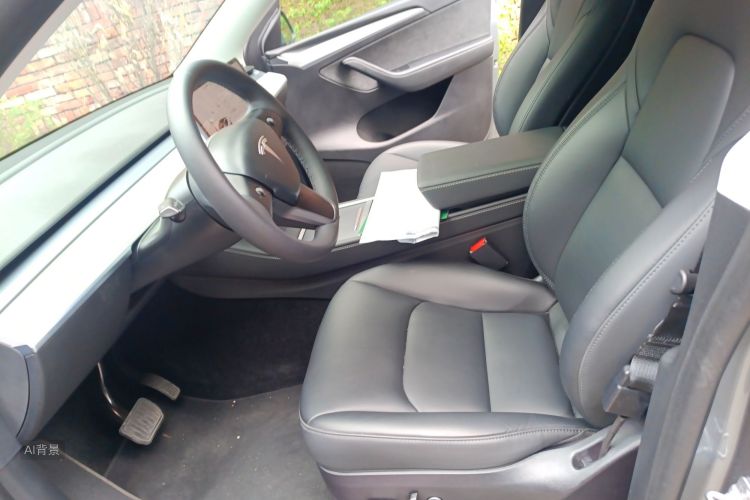 Tesla Model Y 2024 car image #17