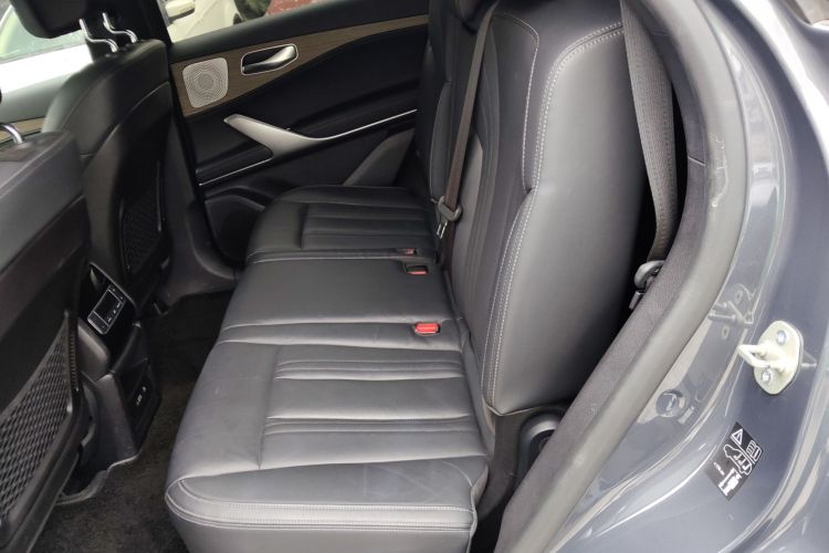 Denza X 2022 car image #17