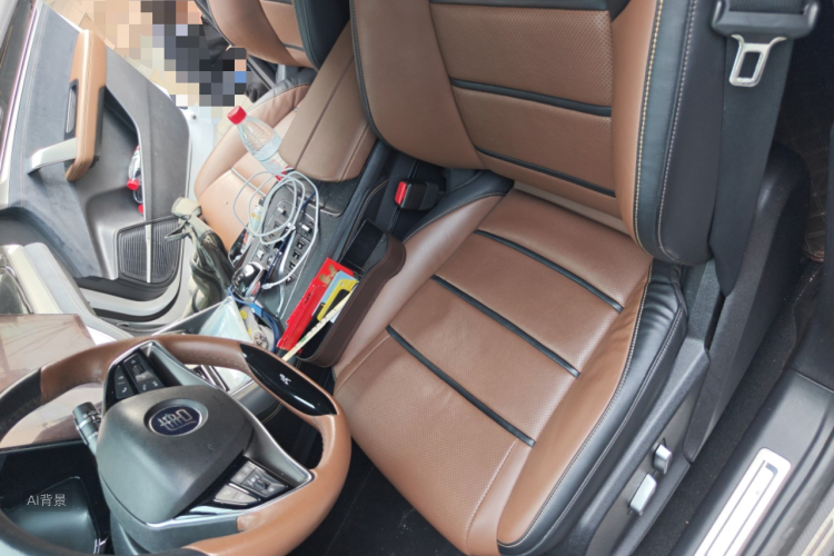 BYD Tang New Energy 2021 car image #17