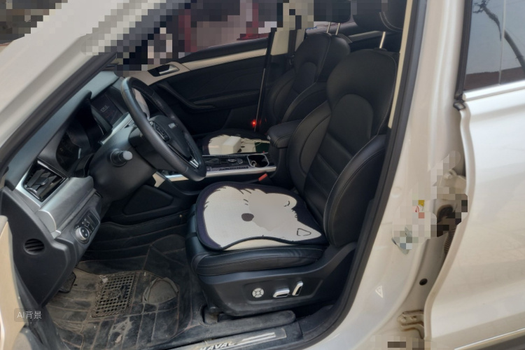 Haval H7 2018 car image #17