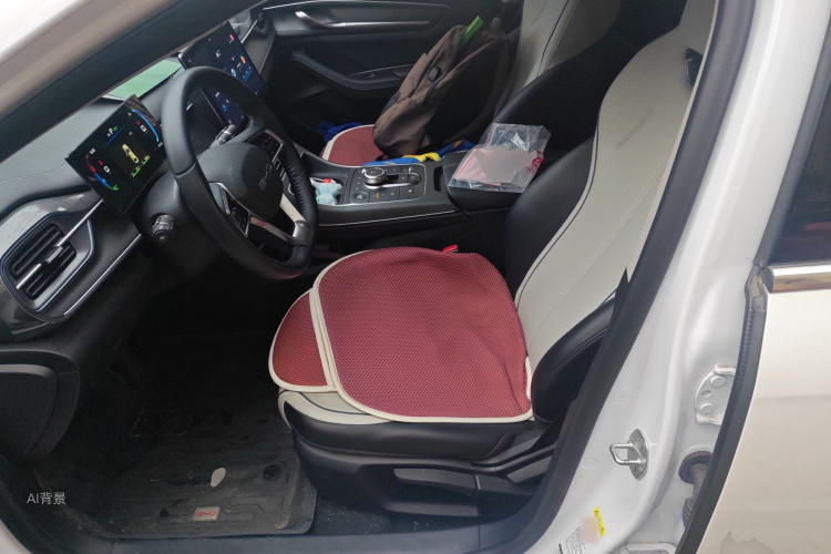 BYD Destroyer 05 2024 #17 BYD Destroyer 05 2024 car image #17