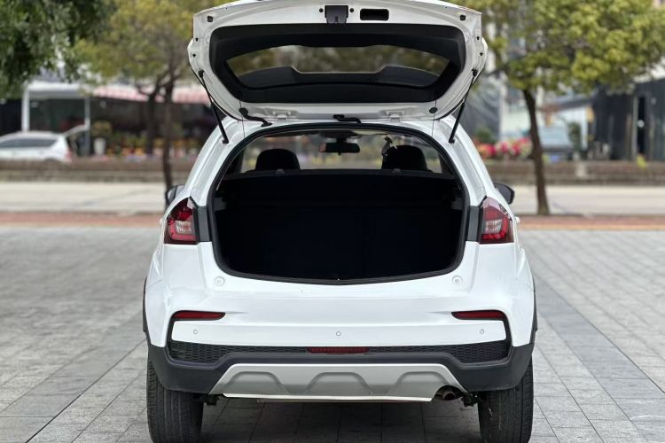 Vision X3 2020 car image #17