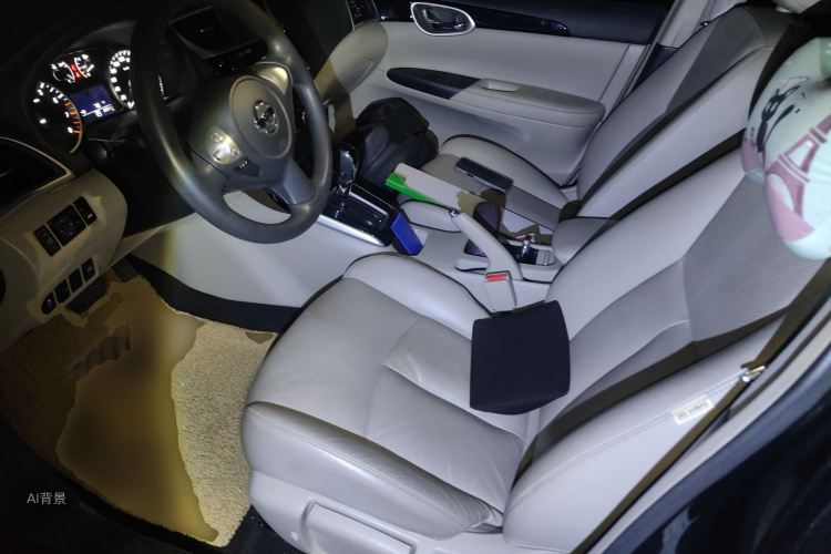 Nissan Sylphy 2017 car image #17