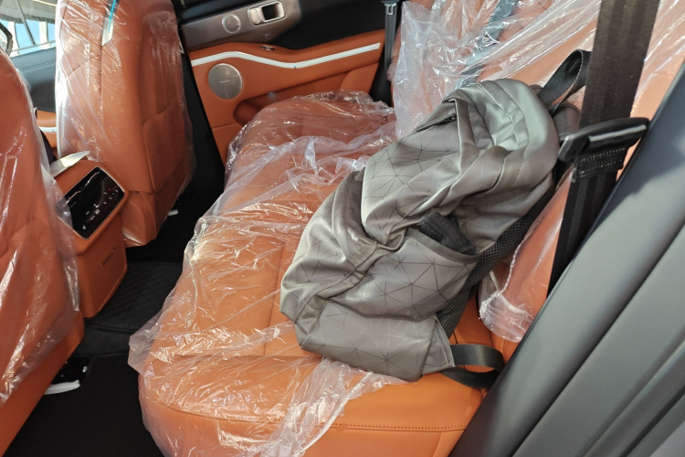 Tank 700 New Energy 2025 #17 Tank 700 New Energy 2025 immagine di auto #17