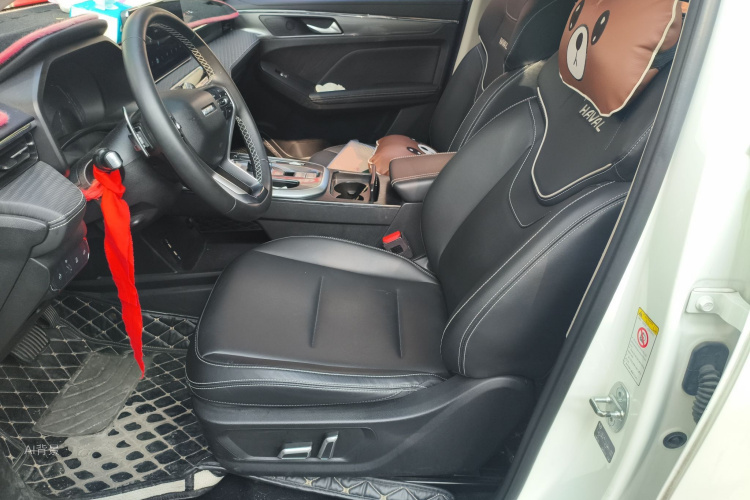 Haval Jolion 2021 car image #17