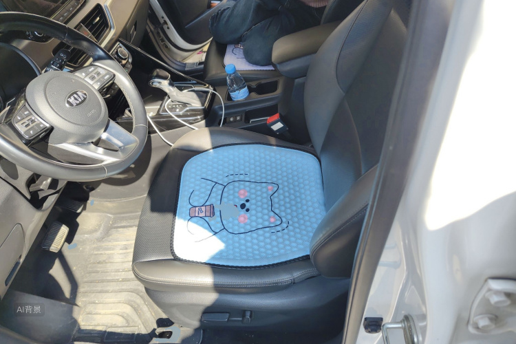 Kia Sportage R 2018 car image #17