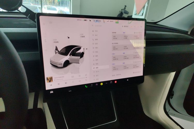Tesla Model Y 2025 car image #17