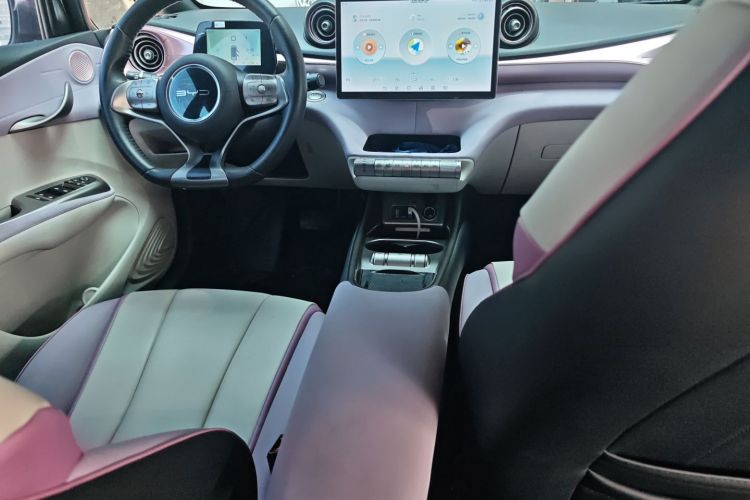 BYD Dolphin 2022 #17 BYD Dolphin 2022 car image #17