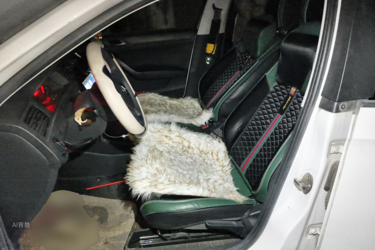 Santana 2021 car image #17