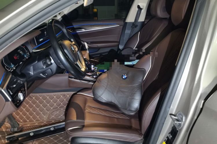 BMW 5 Series New Energy 2020 car image #17