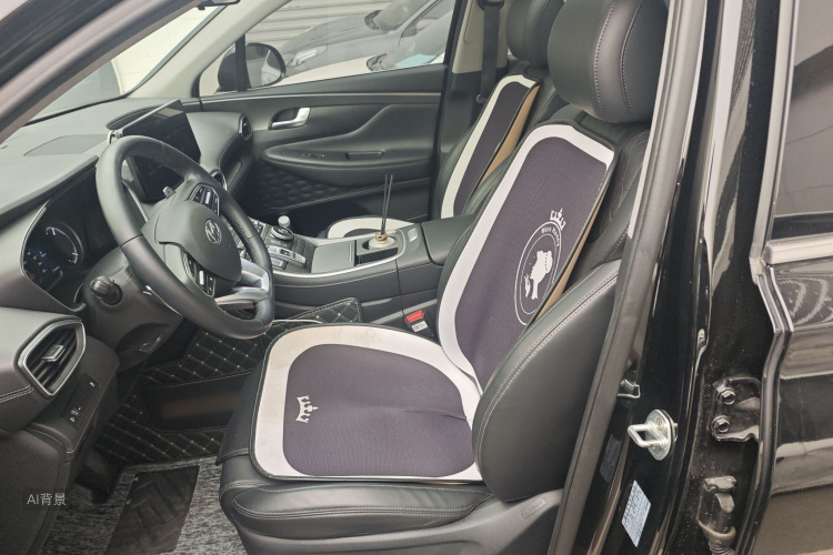 Hyundai Santa Fe 2022 imagen de coche #17