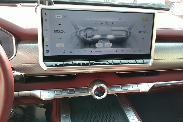 Tank 700 New Energy 2024 car image #17