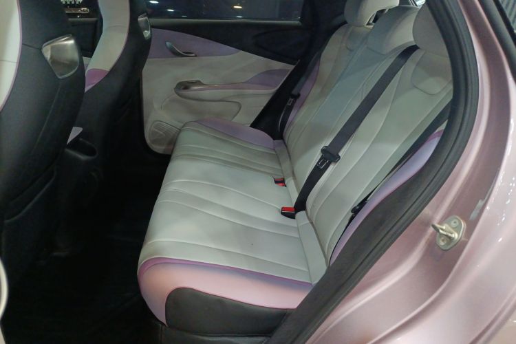 BYD Dolphin 2022 #17 BYD Dolphin 2022 car image #17