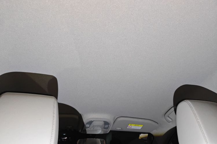 BYD Yuan Pro 2022 immagine di auto #17