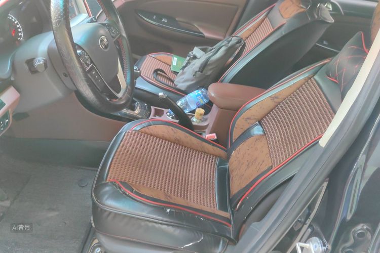 BYD SuRui 2017 #17 BYD SuRui 2017 car image #17