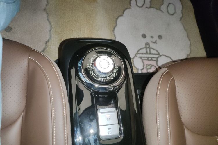 五菱汽车 五菱缤果 2023 #17 五菱汽车 五菱缤果 2023 汽车图片 #17