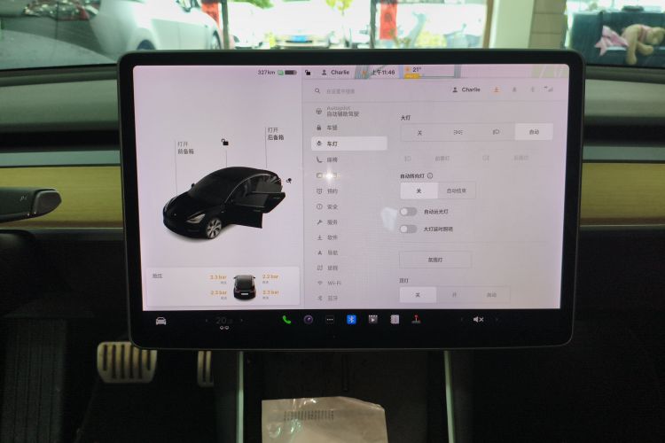 特斯拉 Model 3(进口) 2019 汽车图片 #17