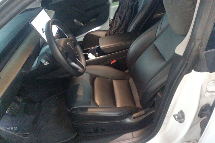 Tesla Model 3 2021 #17 Tesla Model 3 2021 car image #17