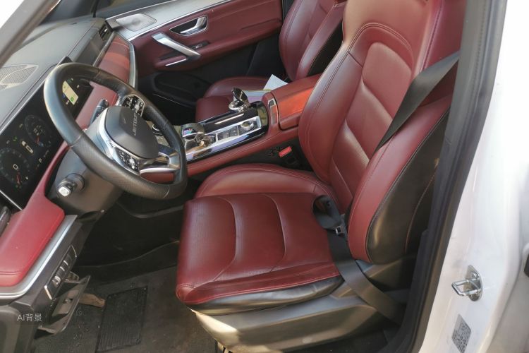 X70 PLUS 2021 car image #17