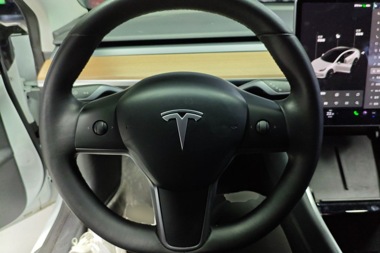 特斯拉 Model 3 2020 汽车图片 #17