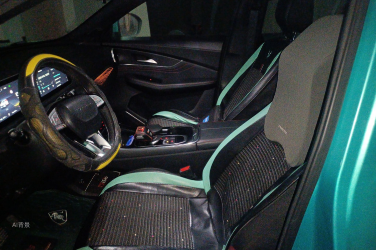 T5 EVO 2021 #17 T5 EVO 2021 car image #17