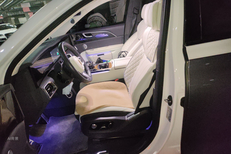 HongQi E-HS9 2022 car image #17