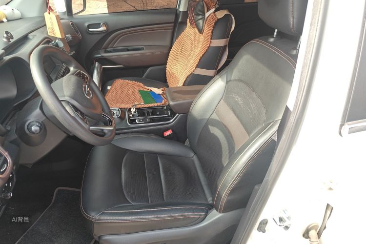 GAC Qizhi EV 2019 car image #17