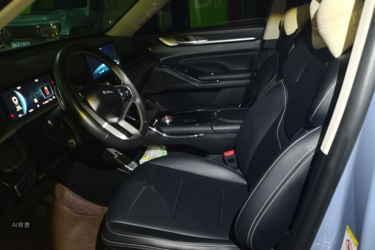 Haval H6 2021 immagine di auto #17