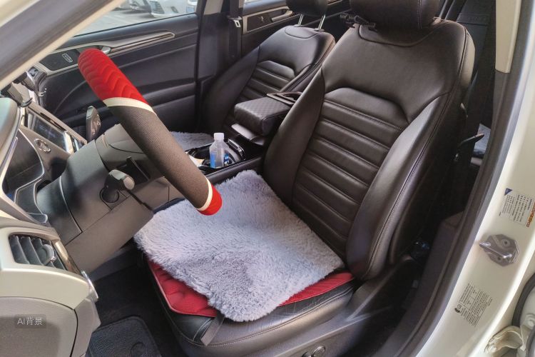 Ford Mondeo 2015 car image #17