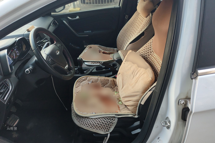 Chery Arrizo 5 2017 صورة سيارة #17