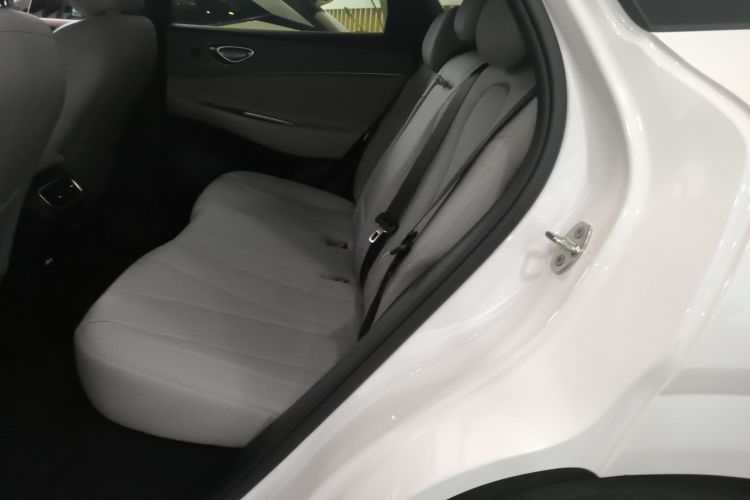 BYD Sea Lion 06 New Energy 2025 car image #17