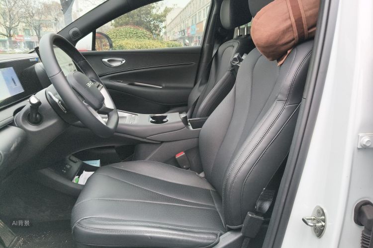 BYD Sea Lion 06 New Energy 2025 car image #17