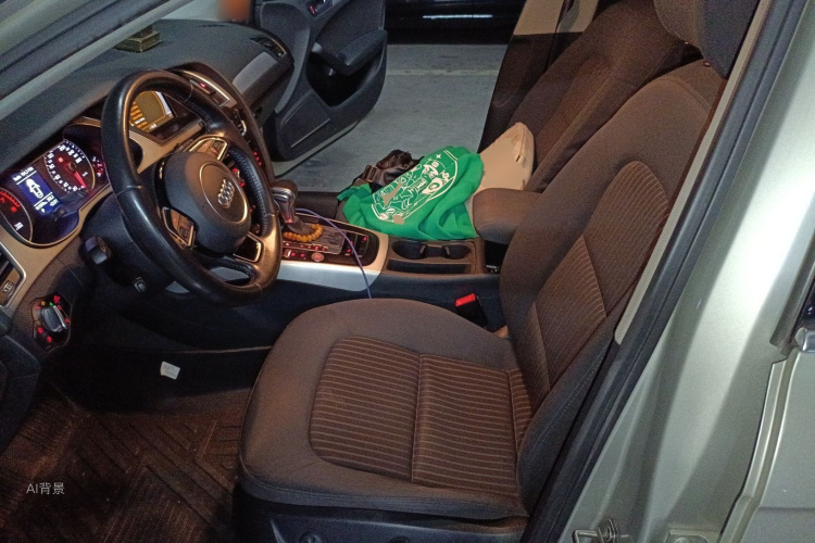 奥迪 奥迪A4L 2016 汽车图片 #17