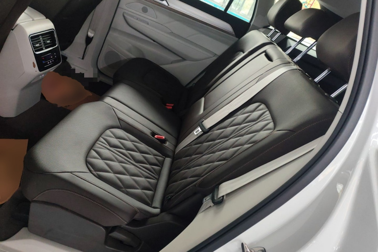 Volkswagen Tavendor 2023 car image #17