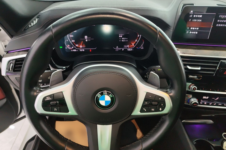 BMW 5 Series 2020 car image #17