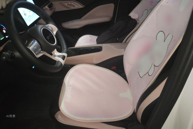 BYD Seagull 2024 #17 BYD Seagull 2024 car image #17