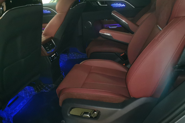 HongQi E-HS9 2023 car image #17