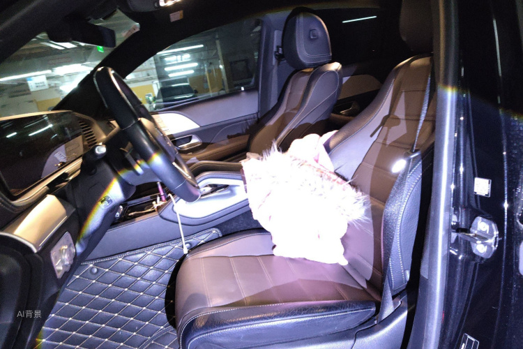 Mercedes-Benz GLE Coupe 2021 car image #17