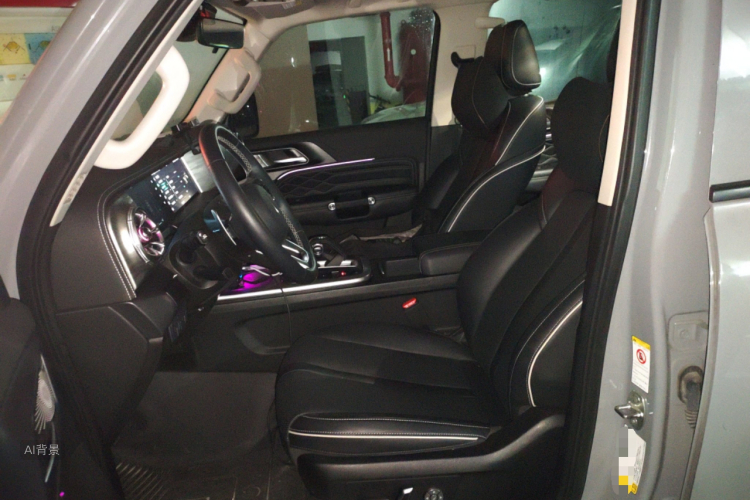 Tank 300 2021 immagine di auto #17