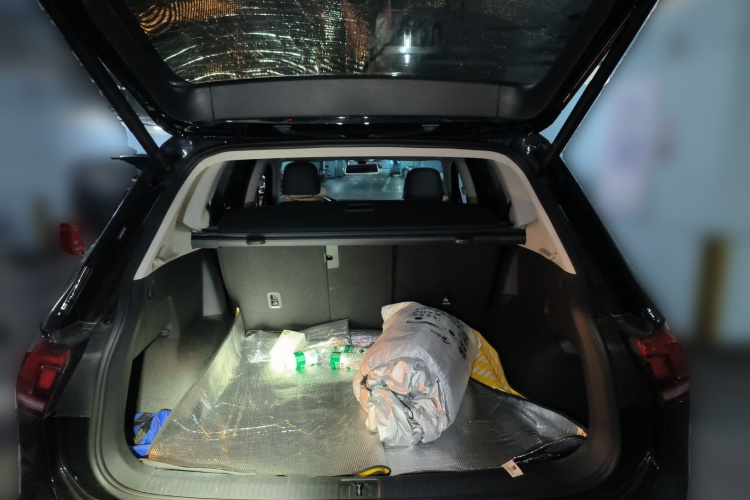 Volkswagen Tiguan L 2024 car image #17