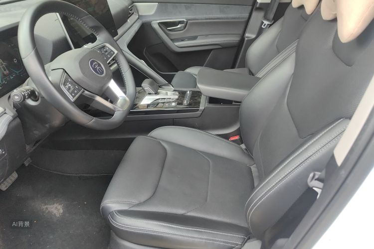 BYD Song Pro New Energy 2020 imagen de coche #17