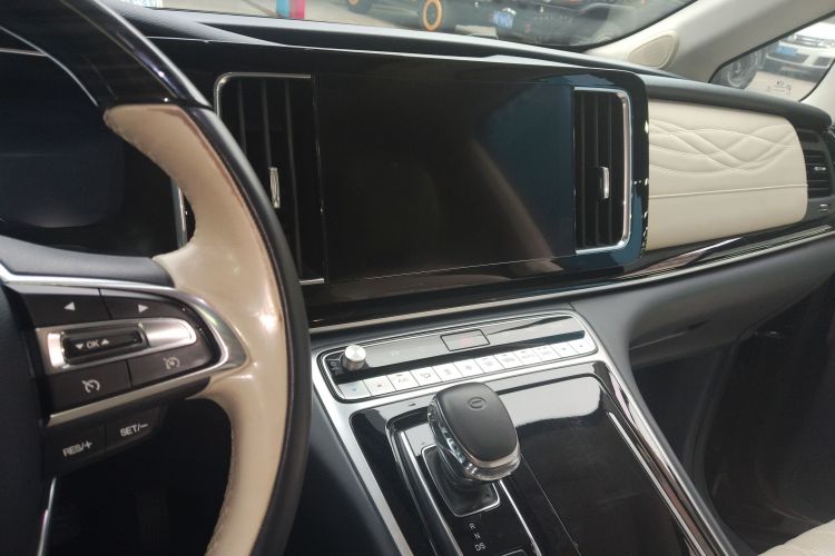 GAC Trumpchi M8 2021 car image #17