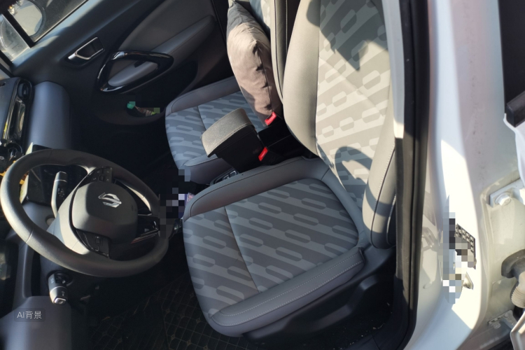 零跑汽车 零跑T03 2024 汽车图片 #17