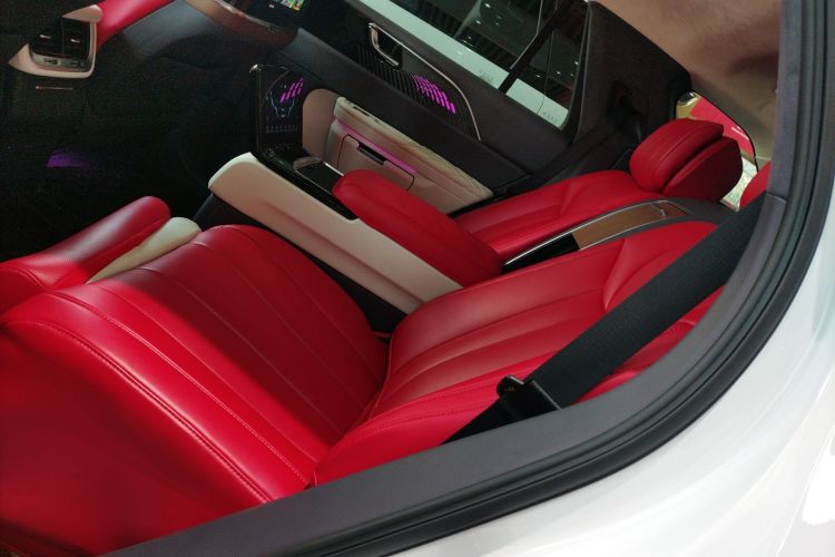 HongQi E-HS9 2021 imagem de carro #17