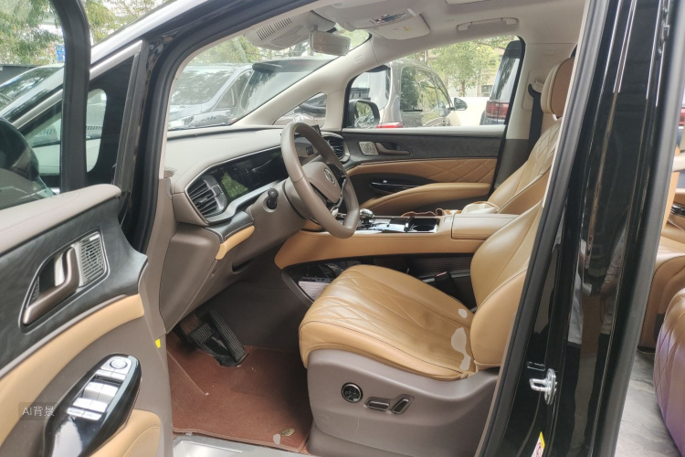 Denza D9 2023 imagem de carro #17