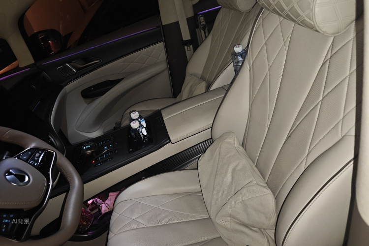 Denza D9 2023 imagen de coche #17