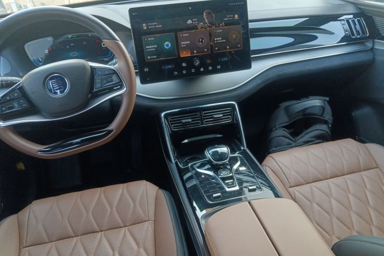 BYD Tang New Energy 2022 car image #17