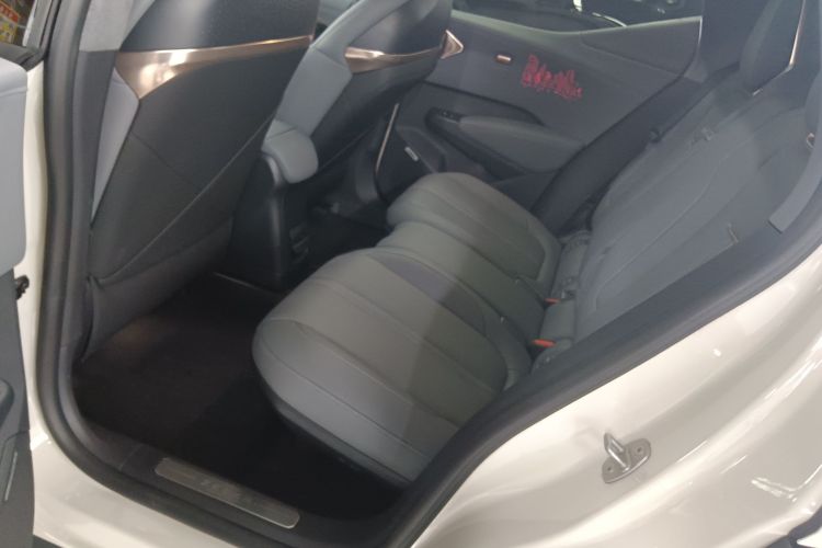 极氪 极氪X 2024 汽车图片 #17